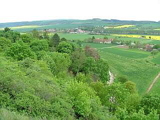Blick von der Falkenburg in Richtung Rottleben