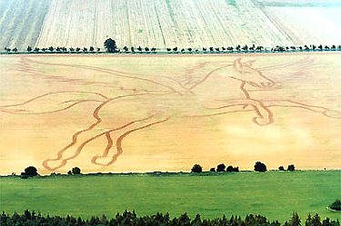 'Pegasus' im Sommer 2002