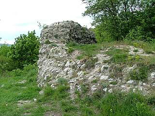 Falkenburgruine