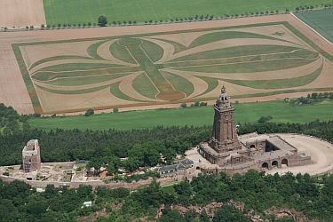 "Kreuz mit Blumennerven" im Sommer 2004