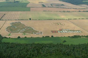 Henriette von Echter Nordhuser - das grte Huhn der Welt im August 2010