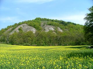 Blick zur Kattenburg