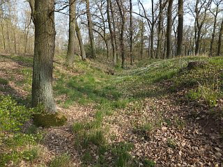 Reste eines jungsteinzeitliches Erdwerks bei Udersleben