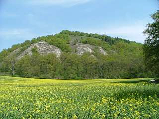 Gipskarst an der Kattenburg